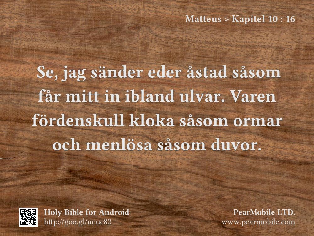 Matteus, Kapitel 10:16